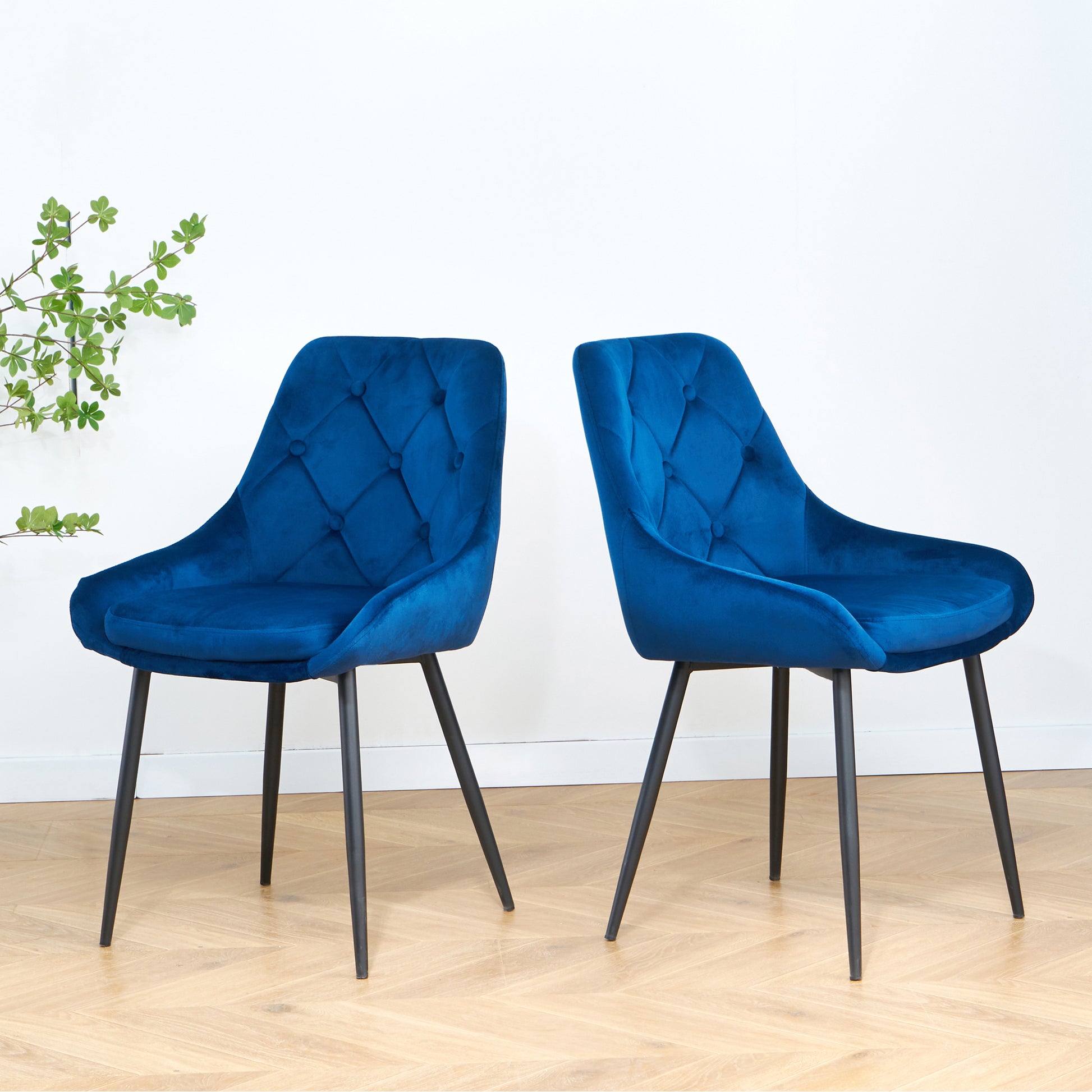 Modern Blue Velvet Dining Chairsfabric Accent Upholstered Chairs Side Chair With Black Legs For Home Furniture Living Room Bedroom Kitchen Dinning Room Set Of 2 Blue Foam Metal