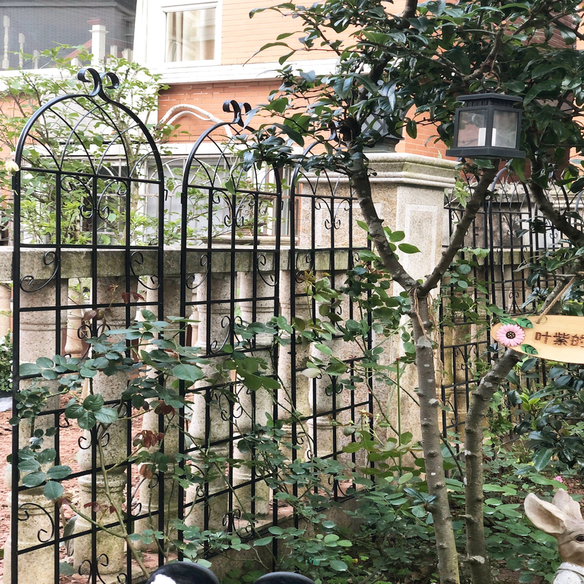 black metal trellis for climbing plants 4 Pack Metal Garden Trellis 71" X 19.7" Rustproof Trellis For Climbing