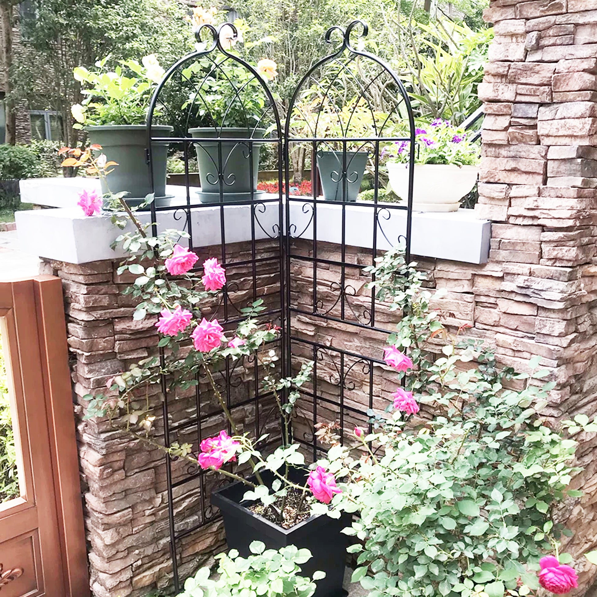 freestanding trellis for climbing plants 4 Pack Metal Garden Trellis 71" X 19.7" Rustproof Trellis For Climbing
