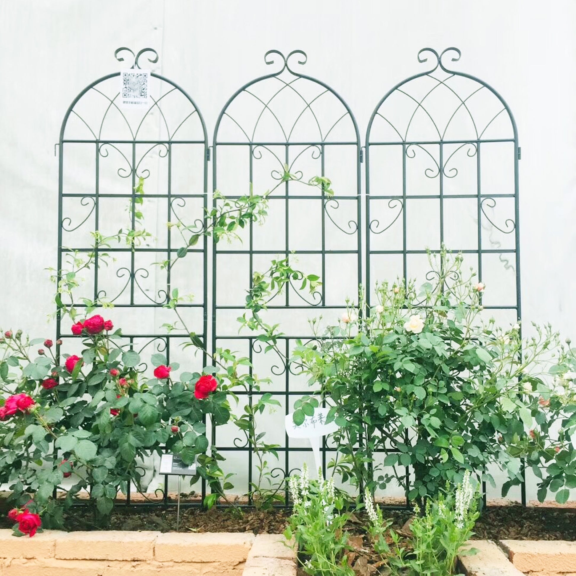 planter trellis metal 4 Pack Metal Garden Trellis 71" X 19.7" Rustproof Trellis For Climbing