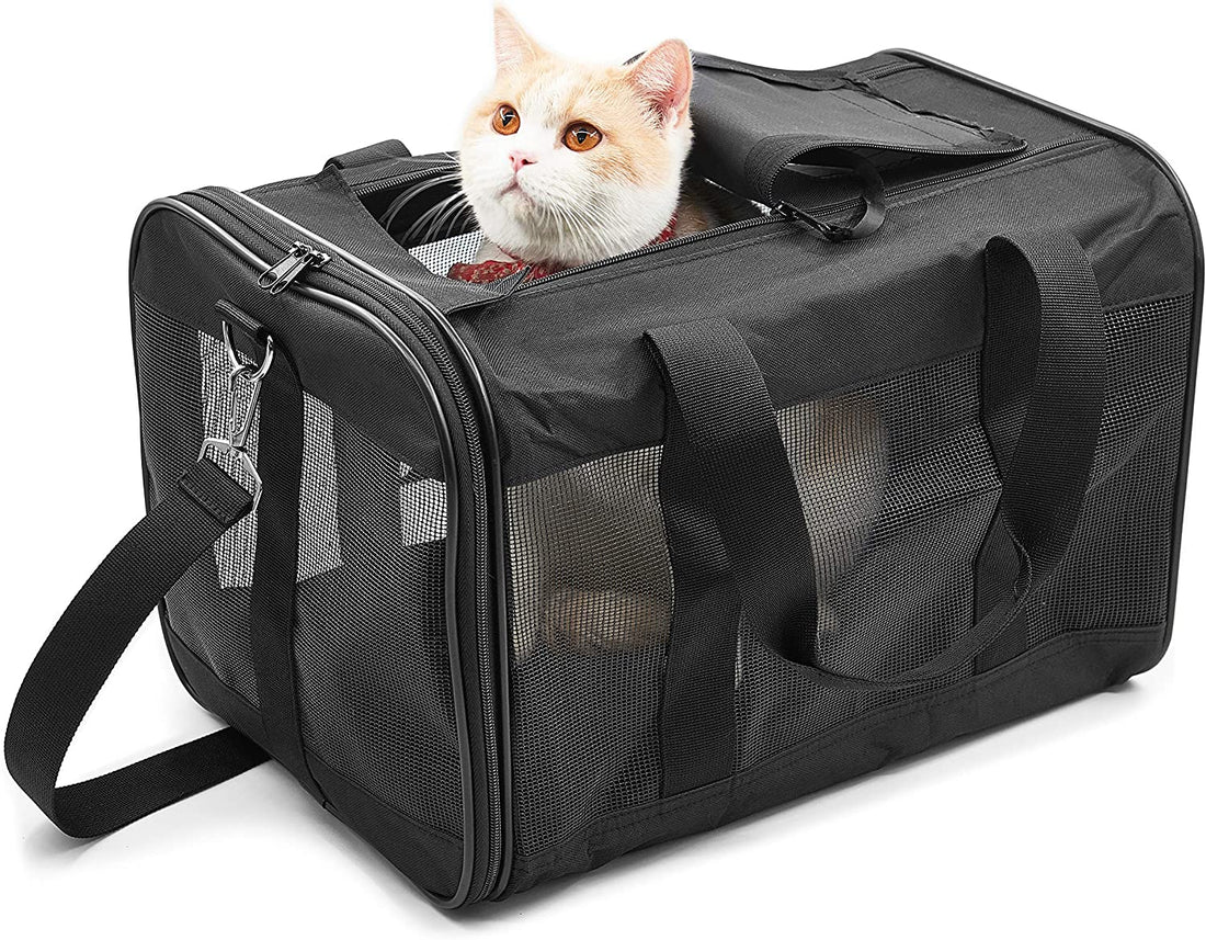 Scratchme Pet Travel Carrier Soft Sided Portable Bag For Cats, Small Dogs, Kittens Or Puppies, Collapsible, Durable, Airline Approved, Travel Friendly, Carry Your Pet With You Safely And Comfortably Black Fabric