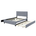 Queen Size Velvet Upholstered Platform Bed With 2 Drawers And 1 Twin Xl Trundle Gray Gray Upholstered