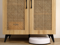 Natural Rattan Storage Cabinet Double Door Shoe