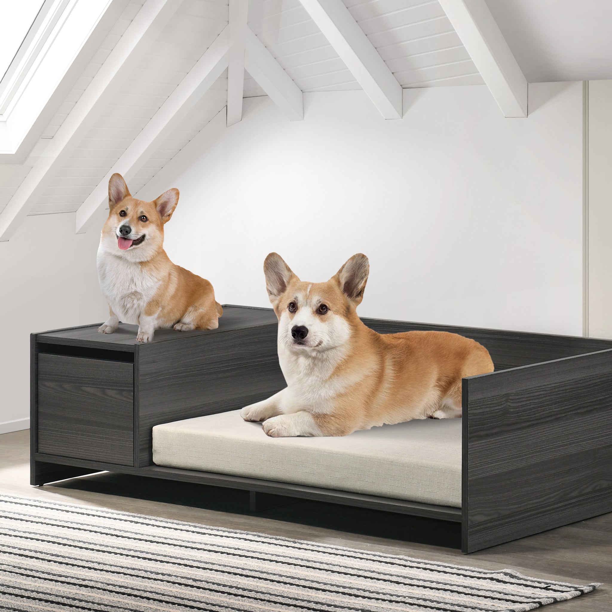 Esme Ash Gray 47" Wide Modern Comfy Pet Bed With Cushion And Side Storage Compartment Dark Gray Particle Board