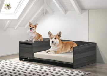 Esme Ash Gray 47" Wide Modern Comfy Pet Bed With Cushion And Side Storage Compartment Dark Gray Particle Board