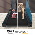 Dog Treadmill Small Dogs Dog Treadmill For Medium Dogs Dog Pacer Treadmill For Healthy & Fit Pets Dog Treadmill Run Walk Black Steel