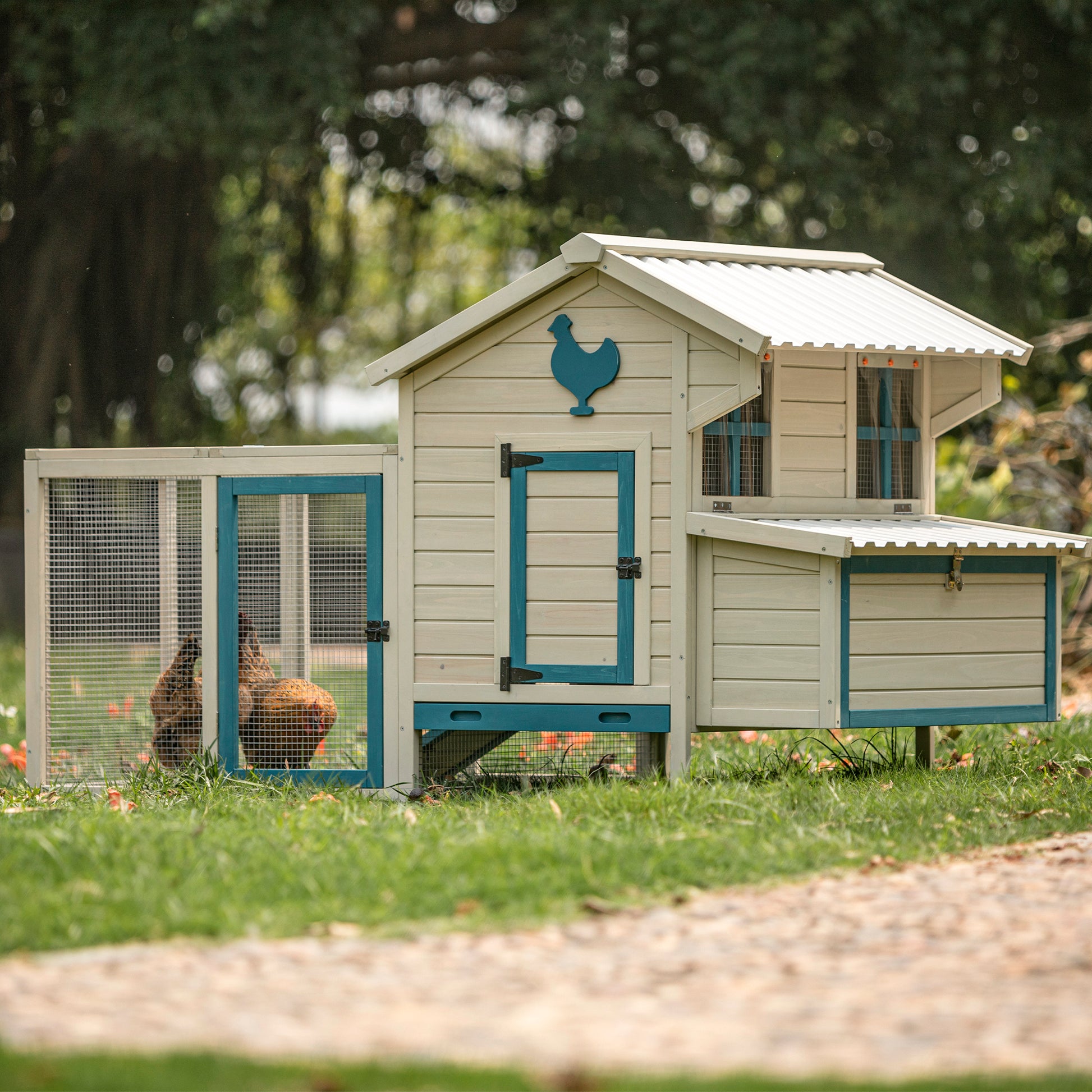 Weatherproof Outdoor Chicken Coop With Waterproof Pvc Roof. Outdoor Chicken Coop With Removable Bottom For Easy Cleaning.Large Space Coop Suitable For 5 7 Chickens. White Solid Wood