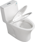 1.1 1.60 Gpf Dual Flush One Piece Toilet, Water Saving Elongated Comfort Height Floor Mounted, Soft Closing Seat, 1000 Gram Map Flushing Score Toilet, Gloss White 23T02 Gw Gloss White Ceramic