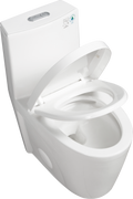 One Piece Toilet, 1.1 1.60 Gpf Water Efficient Dual Flush Elongated Comfort Height Floor Mounted, Standard Size Toilet With Soft Closing Seat Included, Glossy White 24T01 Gw Gloss White Ceramic