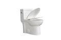 1.28 Gpf Single Flush One Piece Toilet, Water