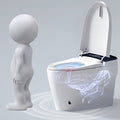 Smart Toilet With Heated Bidet Seat, One Piece