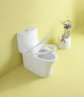 AquaFlush Pro Toilet Fixture Kit 23T02 GWP02 white-acrylic