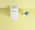 Toilet Floor Bolts And Caps Set Only, 23T01 Gwp03 White Plastic