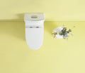 AquaFlush Pro Toilet Fixture Kit 23T01 GWP02 white-acrylic