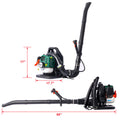 Osakapro 52Cc 2 Cycle Gas Backpack Leaf Blower With Extention Tube,Green Green Plastic
