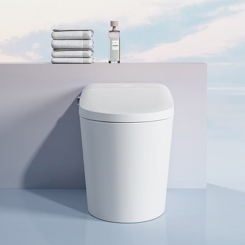 Smart Toilet With Auto Flush, Warm Water And