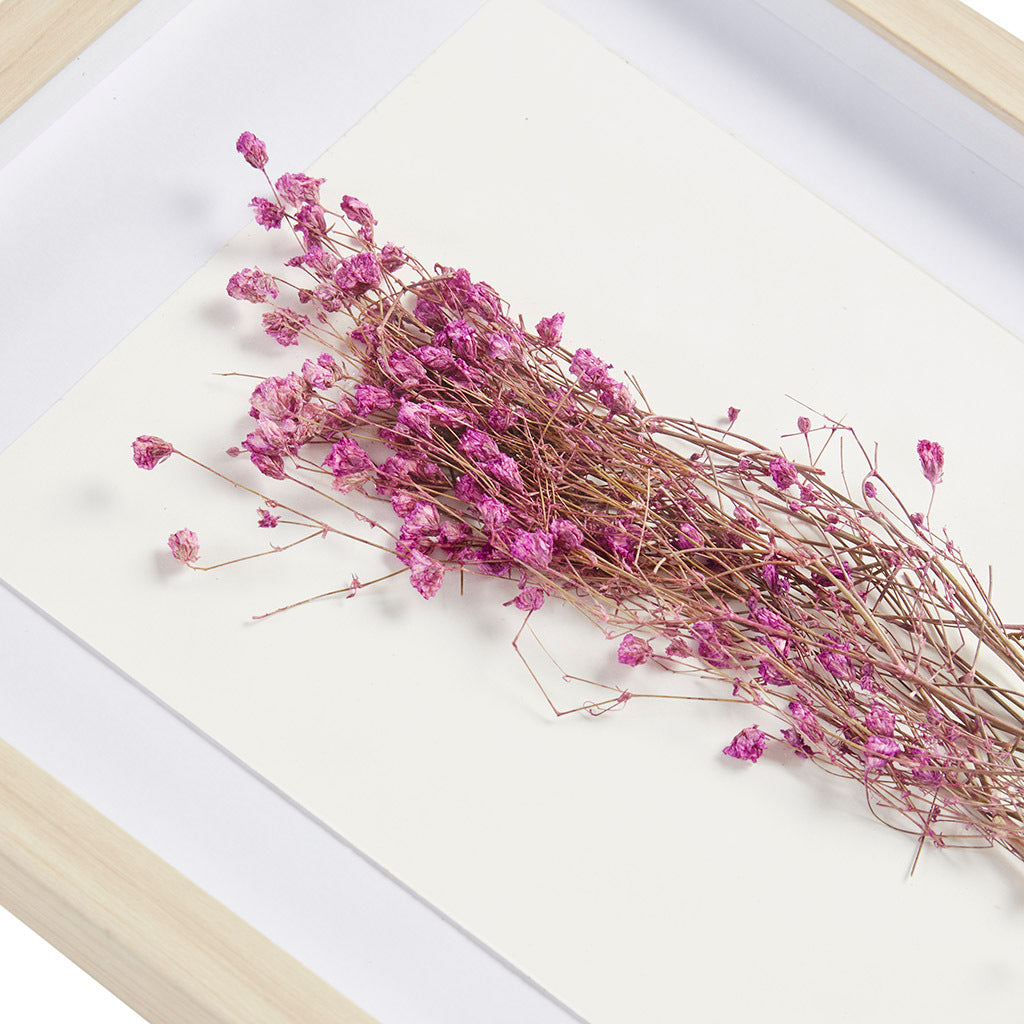 Dried Flower 2 Piece Shadow Box Wall Decor Set Multi Mdf