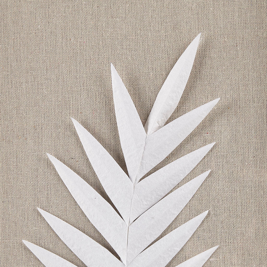 Framed Rice Paper Palm Leaves 3 Piece Shadowbox Wall Decor Set Off White Mdf