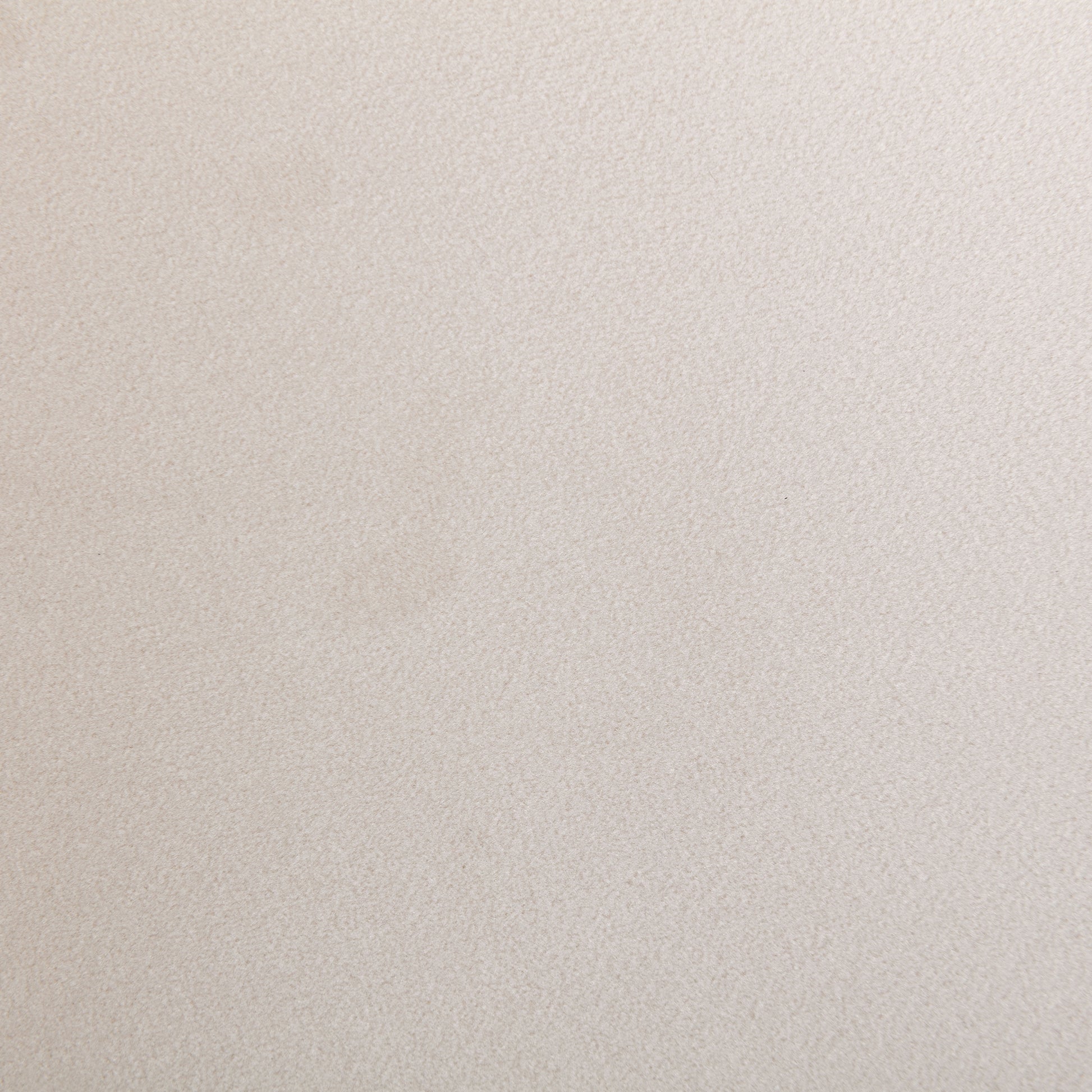 Coolmore Contemporary Designed Velvet Fabric Upholstered Accent Dining Chair Barrel Side Chairs Kitchen Armchair For Living Room Set Of 2 Beige Velvet Beige Foam Velvet