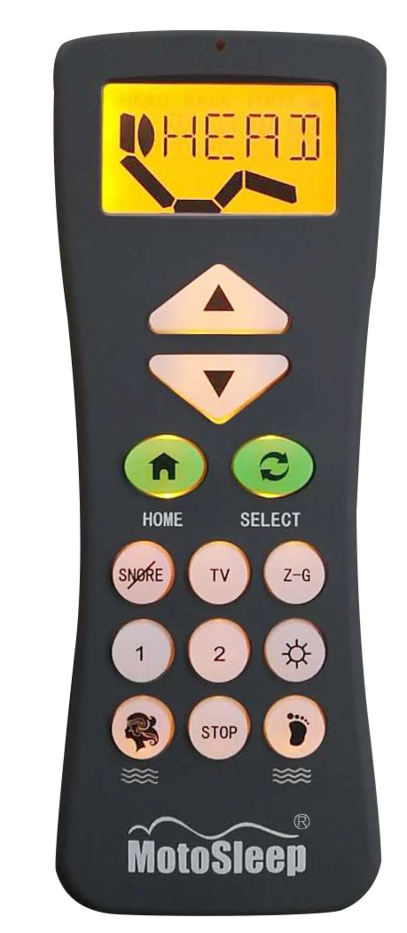 Queen Softform Adjustable Bed Base Customizable Comfort And Relaxation Independent Head And Foot Incline Wireless Remote Or App Control Queen White Metal & Wood