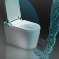 Smart Toilet With Heated Seat, Smart Toilet With