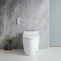 Smart Toilet with Bidet Built in, Smart Bidet