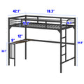 Twin Metal Loft Bed with Desk, Ladder and black-metal