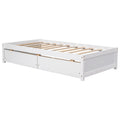 Twin Bed With 2 Drawers, Solid Wood, No Box Spring Needed , Old Sku:W50422209 Twin White Pine