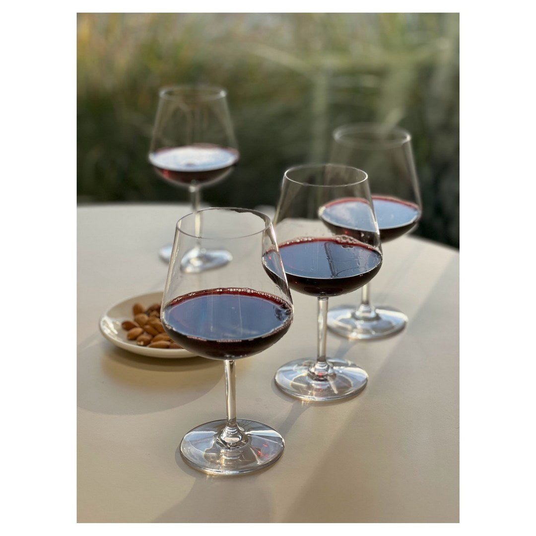 Plastic Wine Glasses Set of 4 20oz , BPA Free Tritan clear-glass