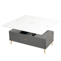 Modern Lift Top Coffee Table Multi Functional Table white+gray-mdf+steel