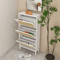 Natural Rattan 3 Door Shoe Rack, Freestanding Modern Shoe Storage Cabinet, For Entryway White Particle Board