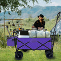 Outdoor Garden Park Utility Kids Wagon Portable Beach Trolley Cart Camping Foldable Folding Wagon Purple Fabric Steel