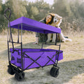 Outdoor Garden Park Utility Kids Wagon Portable Beach Trolley Cart Camping Foldable Folding Wagon Purple Fabric Steel