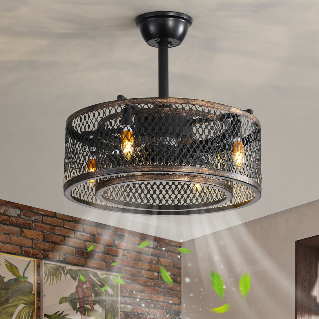20 inch Caged Ceiling Fan with Lights Note:No