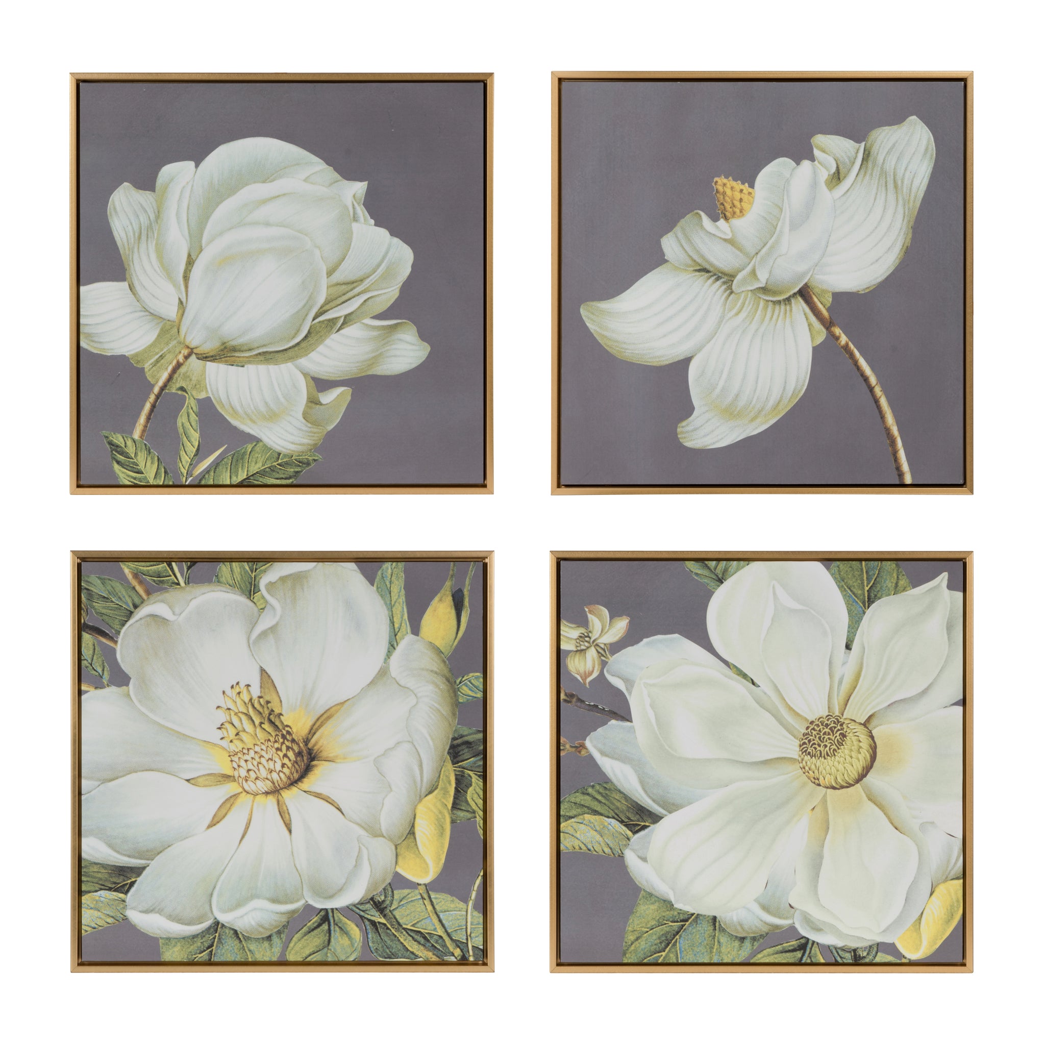 Set of 4 White and Gold Botanical Wall Art Prints gray-microfiber