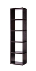 Display Storage Cabinet, Open Back Cabinet With 5