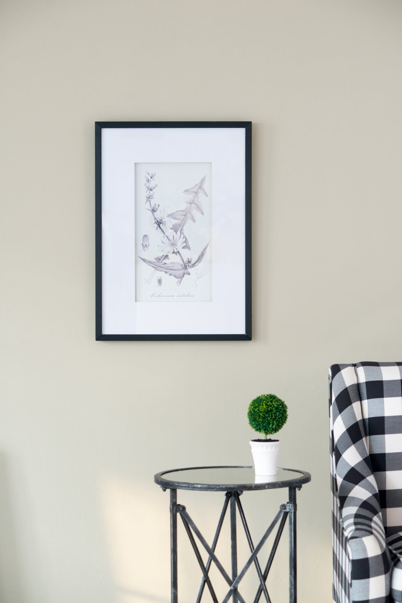 Set of 4 Botanical Wall Art Prints, Home Decor for white+black-plastic