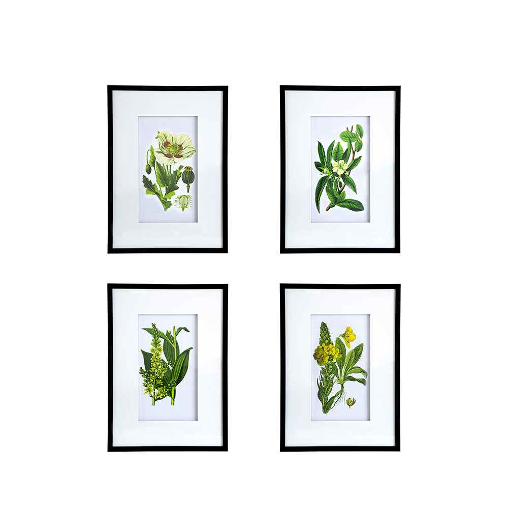 Set Of 4 Botanical Flower Wall Art, Home Decor For Living Room, Dining Room, Bedroom, Hallway, 20" X 28" White Blue Plastic