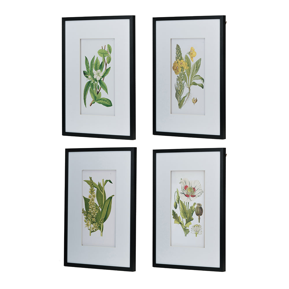 Set Of 4 Botanical Flower Wall Art, Home Decor For Living Room, Dining Room, Bedroom, Hallway, 20" X 28" White Blue Plastic