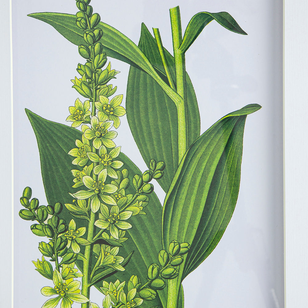 Set Of 4 Botanical Flower Wall Art, Home Decor For Living Room, Dining Room, Bedroom, Hallway, 20" X 28" White Blue Plastic