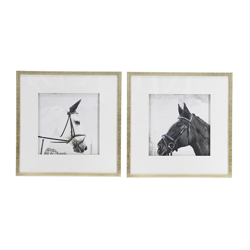 Set of 2 Wall Art Horse Animal Printing, Wall