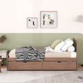 Modern Design Twin Size Platform Bed Frame With 2 Drawers For Walnut Color Twin Walnut Rubber Wood