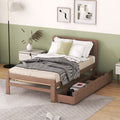 Modern Design Twin Size Platform Bed Frame With 2 Drawers For Walnut Color Twin Walnut Rubber Wood
