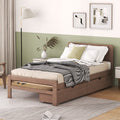 Modern Design Twin Size Platform Bed Frame With 2 Drawers For Walnut Color Twin Walnut Rubber Wood