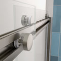 Bypass Shower Door, Sliding Door, With 5 16