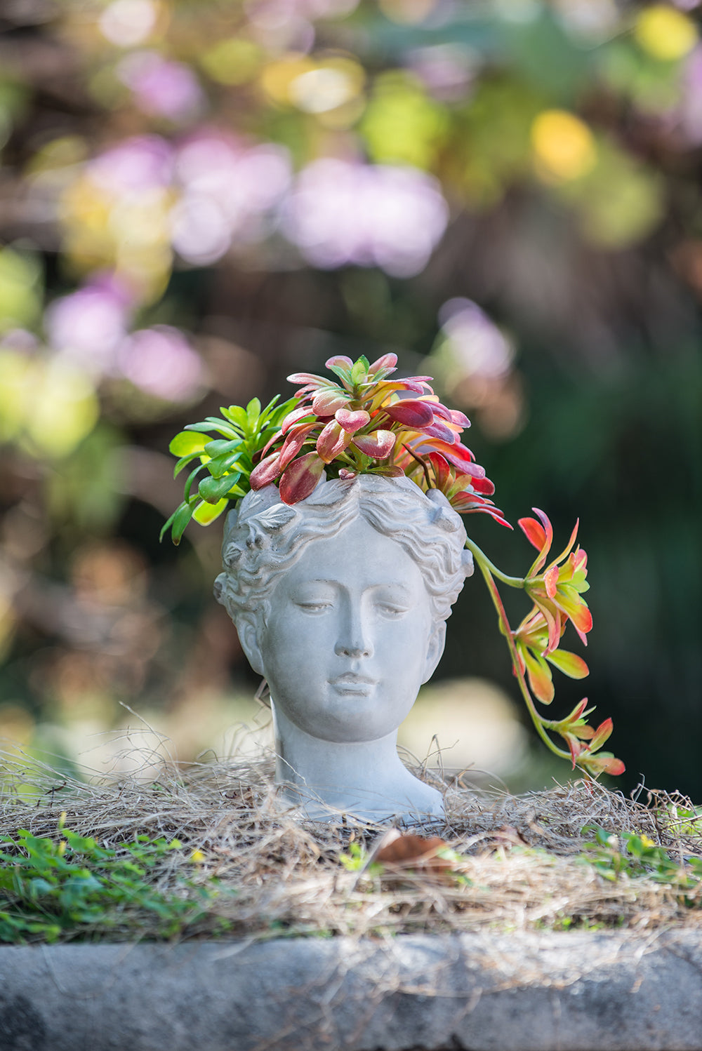 cement planter indoor Cement Bust Wall Planter Indoor Outdoor Home Garden
