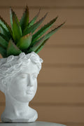 Greek Style Cement Head Planter Indoor Outdoor Home Garden Decor, D6