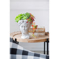 Greek Style Cement Head Planter Indoor Outdoor Home Garden Decor, D6