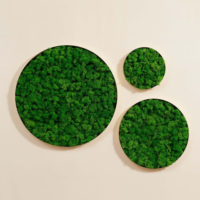 Round Framed Moss Wall Decor, only the Medium pc green-iron