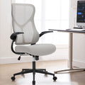 Sweetcrispy Ergonomic Executive High Back Office Chairmesh Computer Chair Gray Nylon Mesh